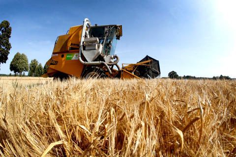 Tävlingen Maltkornsmästaren avgjord!