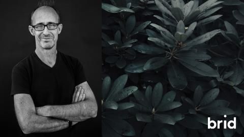 Brid är världens första klimatpositiva kommunikationsbyrå  
