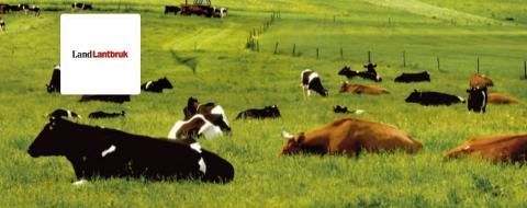 Stark uppgång för Land Lantbruk