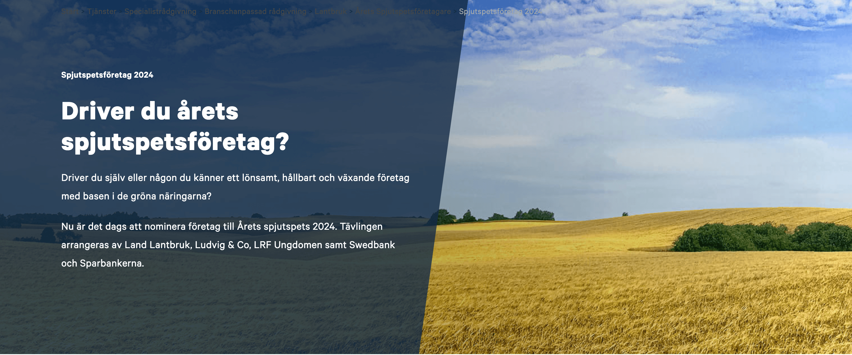 Vill du nominera ett företag som Årets spjutspetsföretag? På ludvig.se/spjutspetföretag finns all information! 