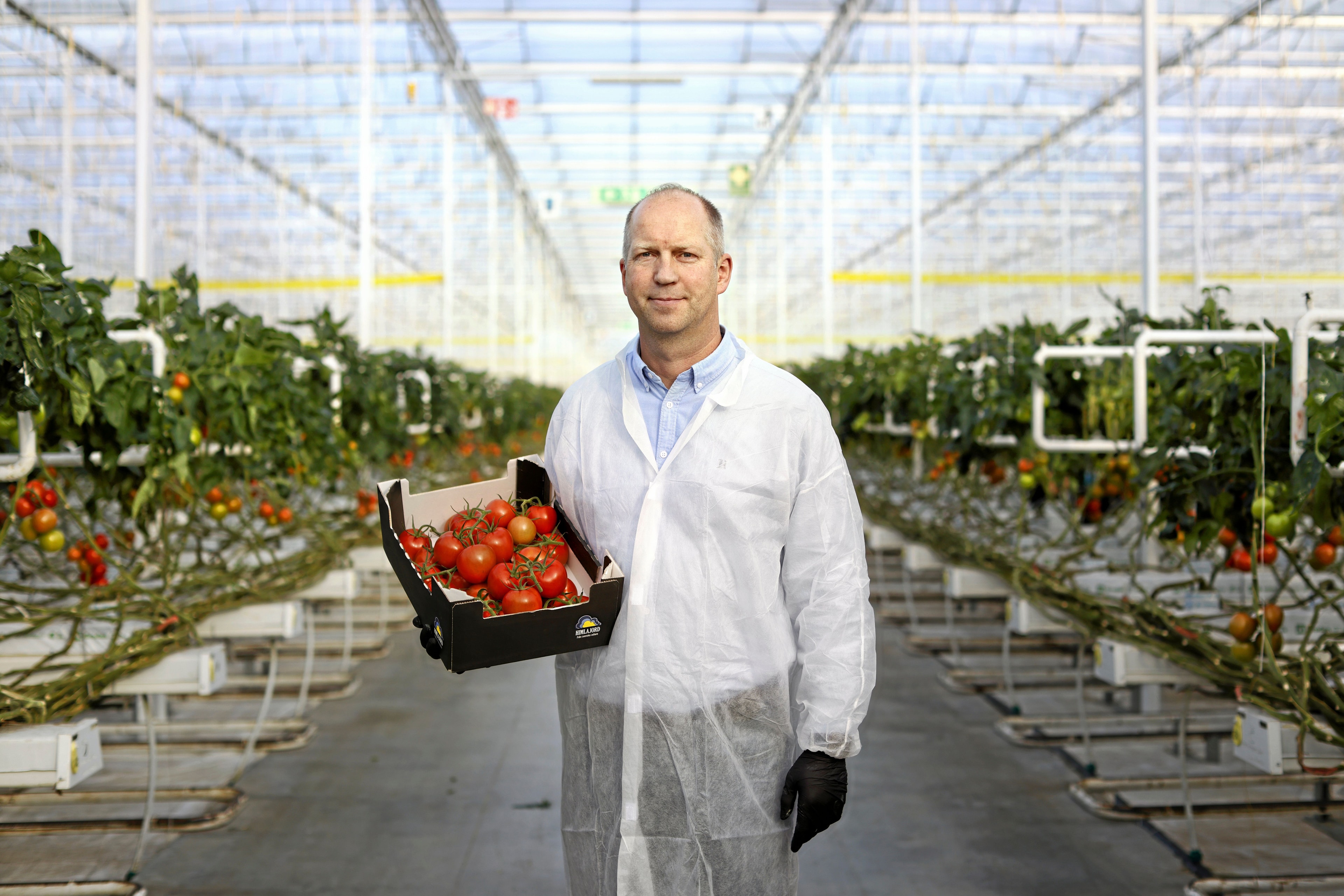 Tomtaodlare_Mindaugas_Krasauskas