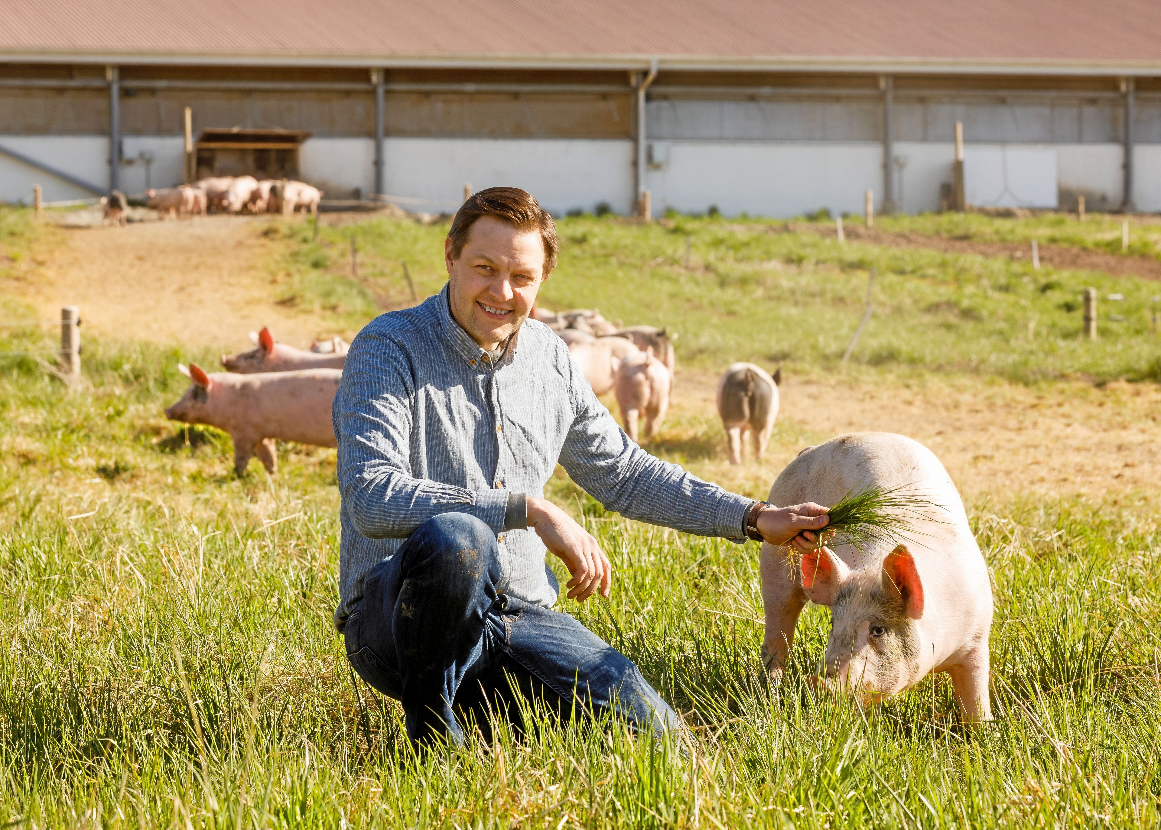 strandrothsfotografi-land-lantbruk-halla-gard-2